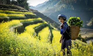 Tây Bắc tuyệt đẹp trong truyện của nhà văn Ma Văn Kháng