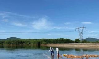 Khẩn trương tìm nguyên nhân cá chết tại hồ cấp nước cho nhà máy nước sạch ở Hà Tĩnh