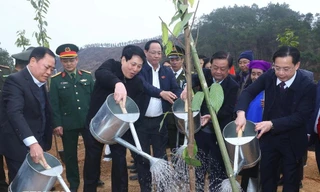Chủ tịch nước Lương Cường phát động Tết trồng cây tại Lạng Sơn