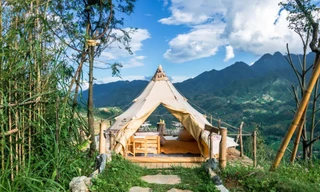 Xu hướng nghỉ dưỡng mới của Gen Z: Thân thiện với thú cưng, kết hợp glamping