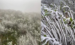 Nhiệt độ xuống dưới 2 độ C, đỉnh La Pán Tẩn ở Mù Cang Chải xuất hiện băng tuyết