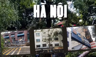 Hà Nội sau bão số 3: HANU, NEU bị rớt biển, nhiều cây cổ thụ bật gốc gãy đổ 