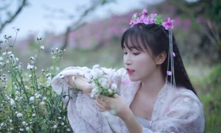 Lý Tử Thất hòa giải với công ty sau vụ tranh chấp quyền lợi, "tiên nữ đồng quê" sắp trở lại