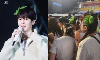 Concert của Baekhyun EXO tại TP.HCM: Khán đài biến thành "vườn rau xà lách"