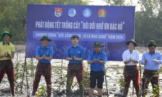 Tết trồng cây nhộn nhịp tại nhiều tỉnh thành, hưởng ứng Tháng Thanh niên 2024