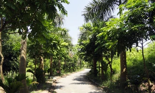 Ngân sách thành phố vừa chi 17 tỷ làm Vườn thực vật, nay lại đồng ý cho làm khu đô thị sinh thái