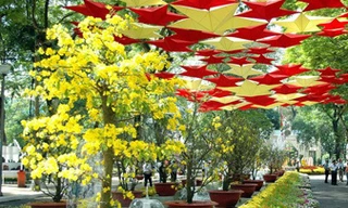 TPHCM tổ chức 40 điểm bán hoa Tết