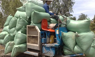 Những cánh đồng không có con đường