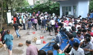 Xúc động nghe 'thảm họa xin học'