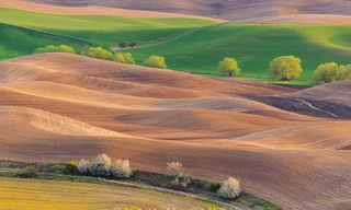Ngắm vùng đất có những thảm cỏ đa sắc màu đẹp hơn tranh sơn mài