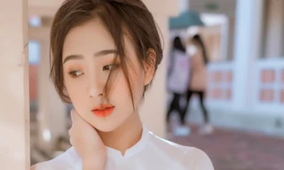 Xao xuyến trước vẻ đẹp tinh khôi của bông hồng xứ Nghệ