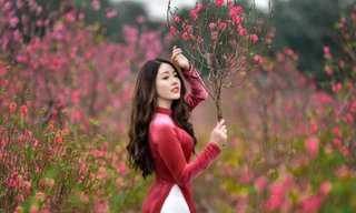 Duyên dáng trong tà áo dài, 9X Phú Thọ "xinh như mộng" trước thềm năm mới