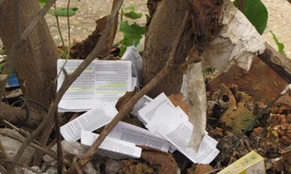 Vĩnh Phúc: Phao thi trắng …vườn trường