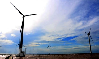 Thu hồi dự án nhà máy điện gió gần 3000 tỷ đồng