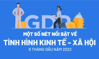 [Infographic] Những dấu ấn nổi bật về tình hình kinh tế - xã hội 6 tháng đầu năm 2022