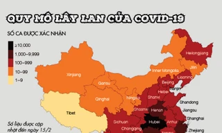 [Đồ họa] Nỗi ám ảnh mang tên Covid-19