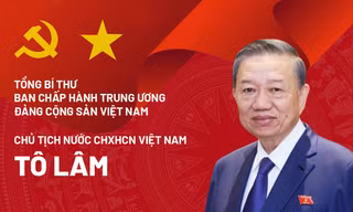 Chân dung Tổng Bí thư, Chủ tịch nước Tô Lâm