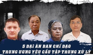 Diễn tiến điều tra 5 ‘đại án’ Ban chỉ đạo T.Ư yêu cầu tập trung xử lý