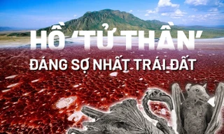 Hồ tử thần đáng sợ khiến mọi sinh vật rớt xuống đều 'hóa đá' bí ẩn