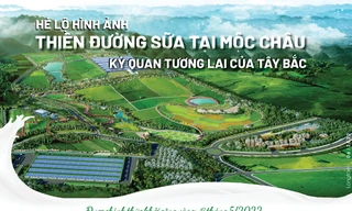 Hé lộ hình ảnh Thiên đường sữa tại Mộc Châu - kỳ quan tương lai của Tây Bắc