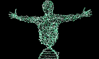 Nhiễm sắc thể Y sắp biến mất, điều gì sẽ xảy ra với đàn ông?