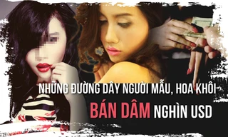 Điểm mặt những đường dây người mẫu, hoa khôi bán dâm nghìn USD