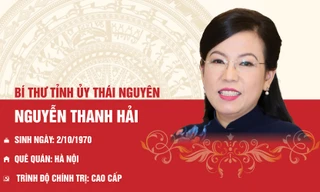 Chân dung nữ Bí thư Tỉnh ủy từng là phó giáo sư trẻ nhất Việt Nam
