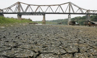 Sông Hồng trơ đáy Ảnh: Xuân Phú