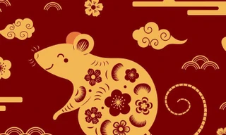 Tử vi tuổi Tý 2022: Bước vào hạn Tam Tai, cần hết sức cẩn trọng 