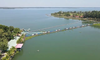 Một doanh nghiệp bị phạt gần 1,6 tỷ đồng vì vi phạm môi trường