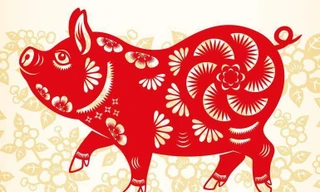 Tử vi tuổi Hợi 2022: Tài lộc lên như diều gặp gió nhưng cần đề phòng tiểu nhân phá hoại