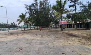 Nỗi niềm không tên của 'nữ hoàng các bãi tắm'