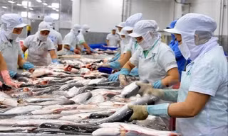 Các DN, nhà sản xuất Việt Nam cần phải thay đổi để có thể giữ vững thị phần xuất khẩu ở thị trường Trung Quốc