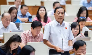 Đại biểu Quốc hội Phạm Văn Hòa (Đoàn Đồng Tháp) lo ngại đề xuất xây khu đô thị ở bãi giữa sông Hồng. Ảnh: Như Ý