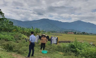 Ruộng đồng bỏ hoang tại KÐT Tiến Xuân của chủ đầu tư Sudico