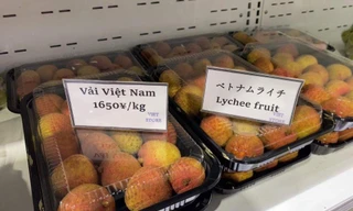 Vải thiều Việt Nam xuất sang Nhật Bản. Ảnh: K.N.B