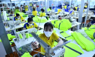 Công ty Cát Vạn Lợi khóc ròng vì lo trễ tiến độ giao hàng. Ảnh: U.P