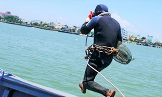 Thợ lặn nhảy xuống sông Hàn tìm bắt chíp chíp. Ảnh: N.Đ