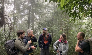 Ðoàn làm phim BBC trong rừng Phong Nha - Kẻ Bàng