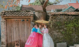 Người trẻ mặc hanbok chụp ảnh bên cây hồng cổ ở Ninh Bình 