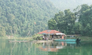 Trạm quản lí và bảo vệ rừng giữa mênh mang sóng nước