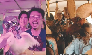 MV của Ðan Trường và Han Sara đều có cảnh gà vịt bay tứ tung trên xe khách