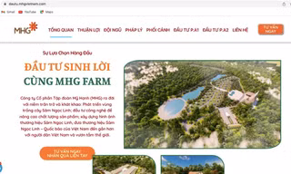 Cty CP Tập đoàn Mỹ Hạnh kêu gọi nhà đầu tư trên trang web (Cty này bị cơ quan công an điều tra về tội “Lừa đảo chiếm đoạt tài sản”). Ảnh: Tiền Lê