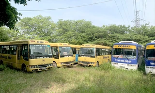 Ô tô kinh doanh chở khách liên tỉnh của nhiều doanh nghiệp đã dừng chạy 1-2 tháng nay, nhưng vẫn phải đóng phí bảo trì đường bộ. Ảnh: DN cung cấp