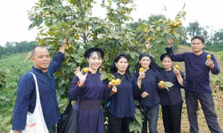 Người nông dân xứ Lạng tự hào với đặc sản quê mình. Ảnh: Duy Chiến