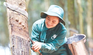 Thương hiệu 'vàng trắng' trăm năm đồng hành cùng đất nước 