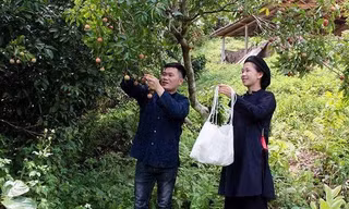 Trang phục truyền thống luôn gắn với sinh hoạt, lao động của người Sán Chỉ. Ảnh: T. Linh
