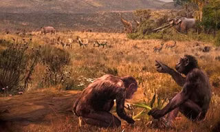 Linh trưởng “tiền con người” Graecopithecus freybergi sống cách đây 7,2 triệu năm trên thảo nguyên của lưu vực Athens. Tranh minh họa: Velizar Simeonovski