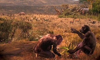 Linh trưởng “tiền con người” Graecopithecus freybergi sống cách đây 7,2 triệu năm trên thảo nguyên của lưu vực Athens. Tranh minh họa: Velizar Simeonovski