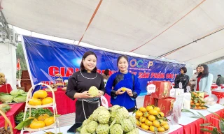 Giới thiệu quảng bá các sản phẩm OCOP ở Lạng Sơn. Ảnh: Duy Chiến